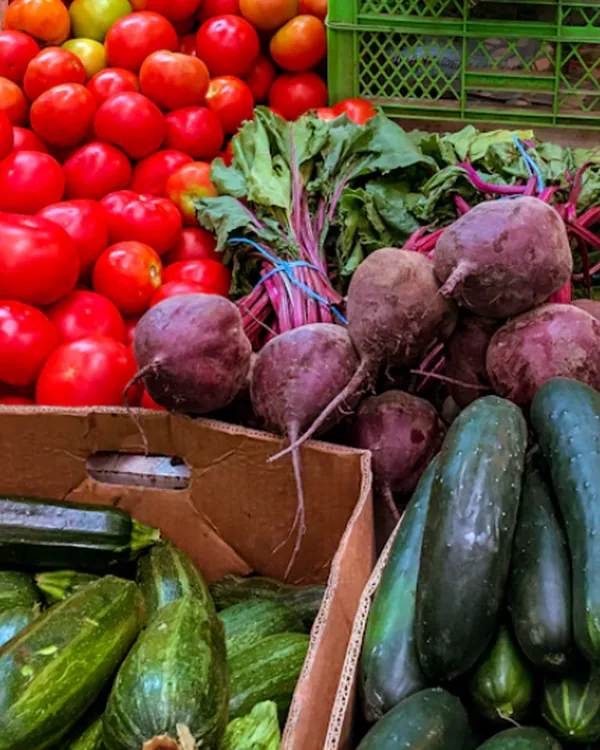 Cassette di verdure fresche dell'orto: pomodori, zucchine, barbabietole e cipollotti