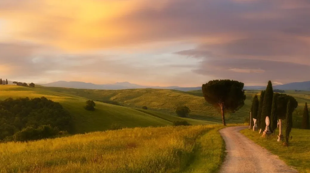Campagna al tramonto con colline verdi e una strada sterrata tra gli alberi